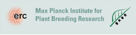 International Max Planck Research School – several PhD positions for 2016